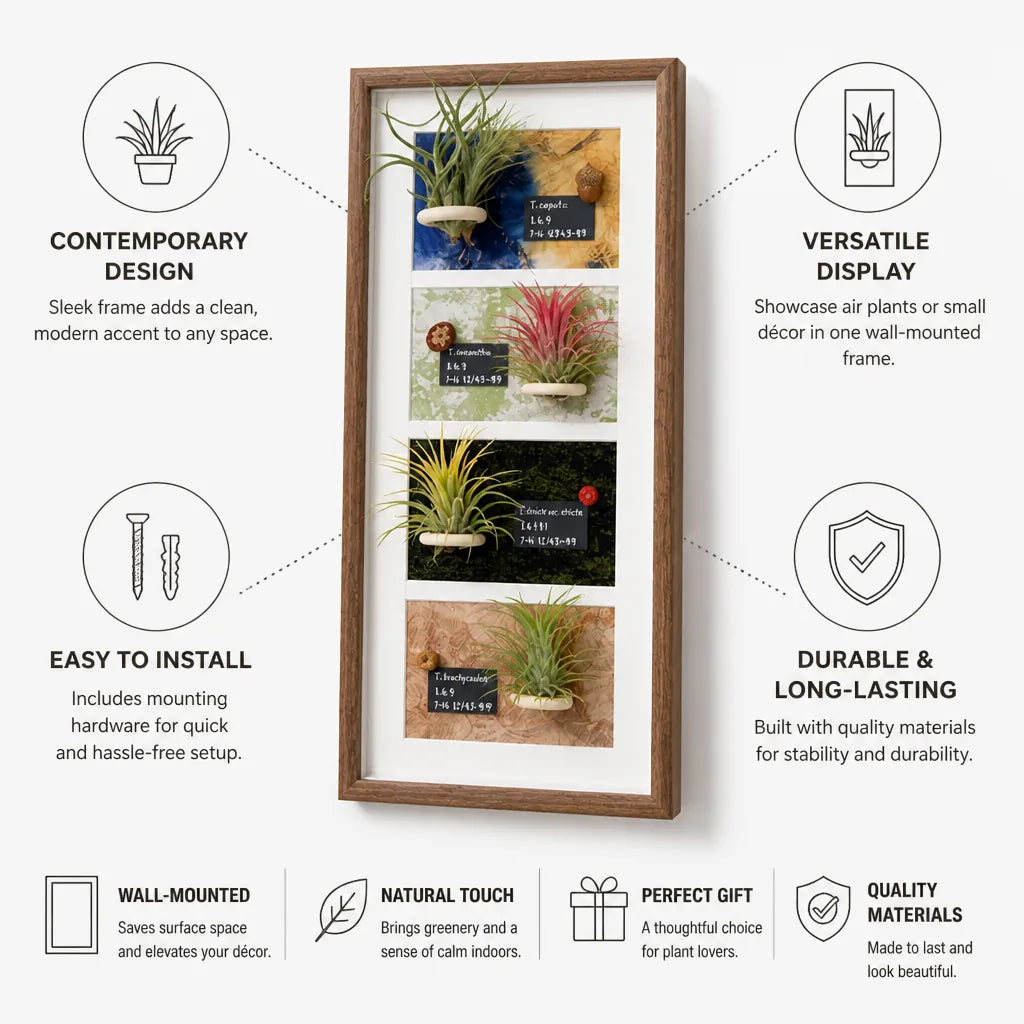 Air Plant Display Frame Wall-Mounted Decorative】【。