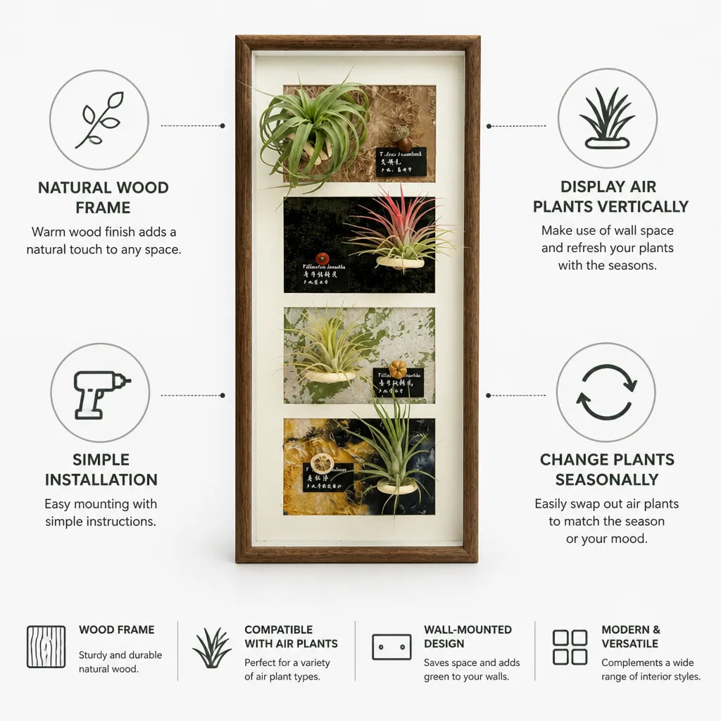 Plant Display Frame Wooden Wall-Mounted for Air Plants