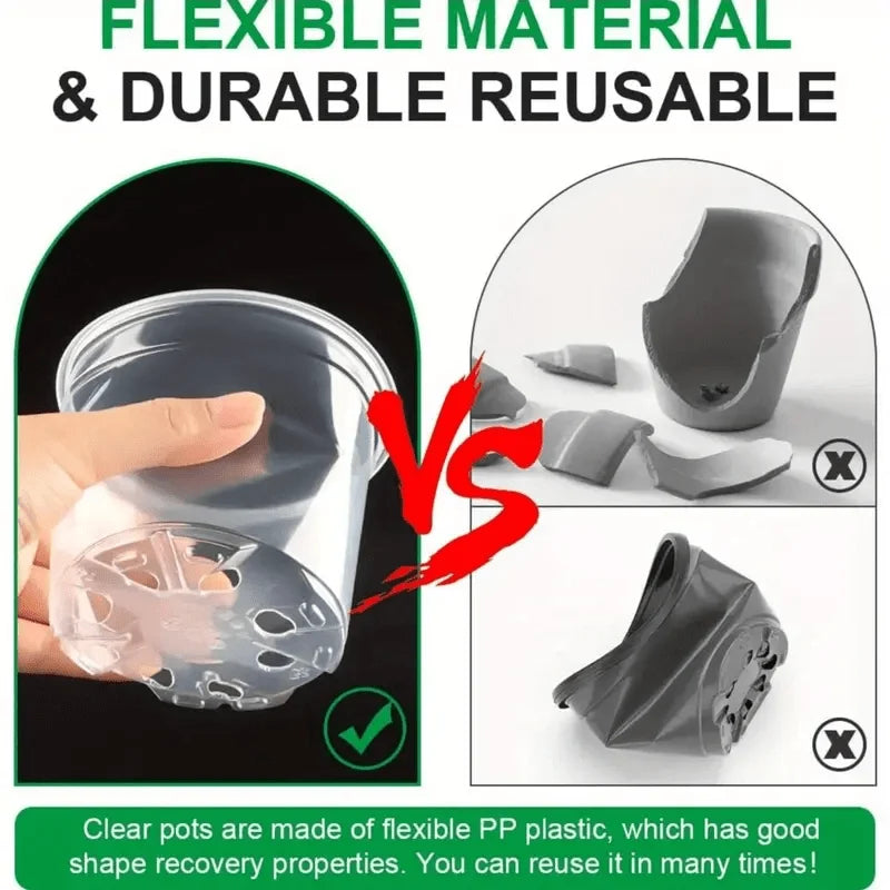 Seedling Pots Clear Reusable Drainage Holes Set of 15