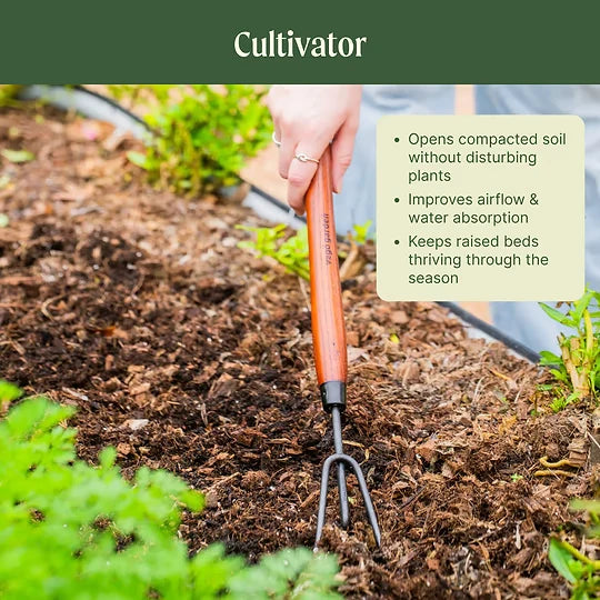 Garden Cultivator Long Handle Steel Prongs Wood Grip