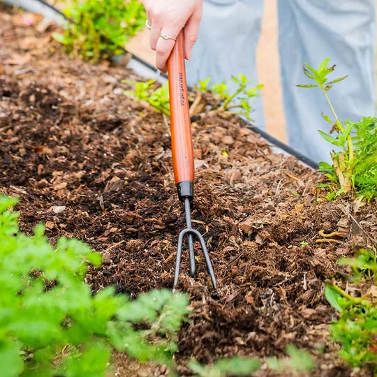 Garden Cultivator Long Handle Steel Prongs Wood Grip