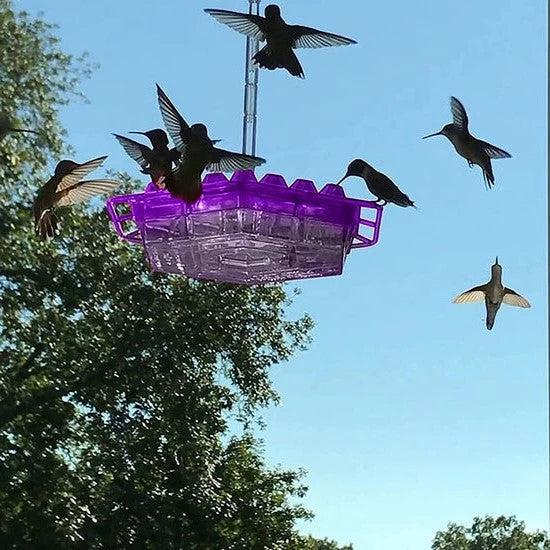 Hummingbird Feeder Built-In Ant Moat 30 Feeding Ports