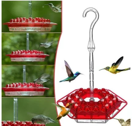 Hummingbird Feeder Built-In Ant Moat 30 Feeding Ports