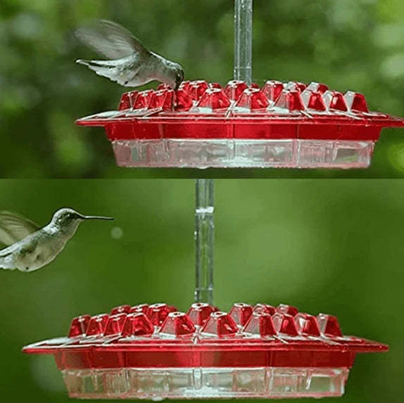 Hummingbird Feeder Built-In Ant Moat 30 Feeding Ports