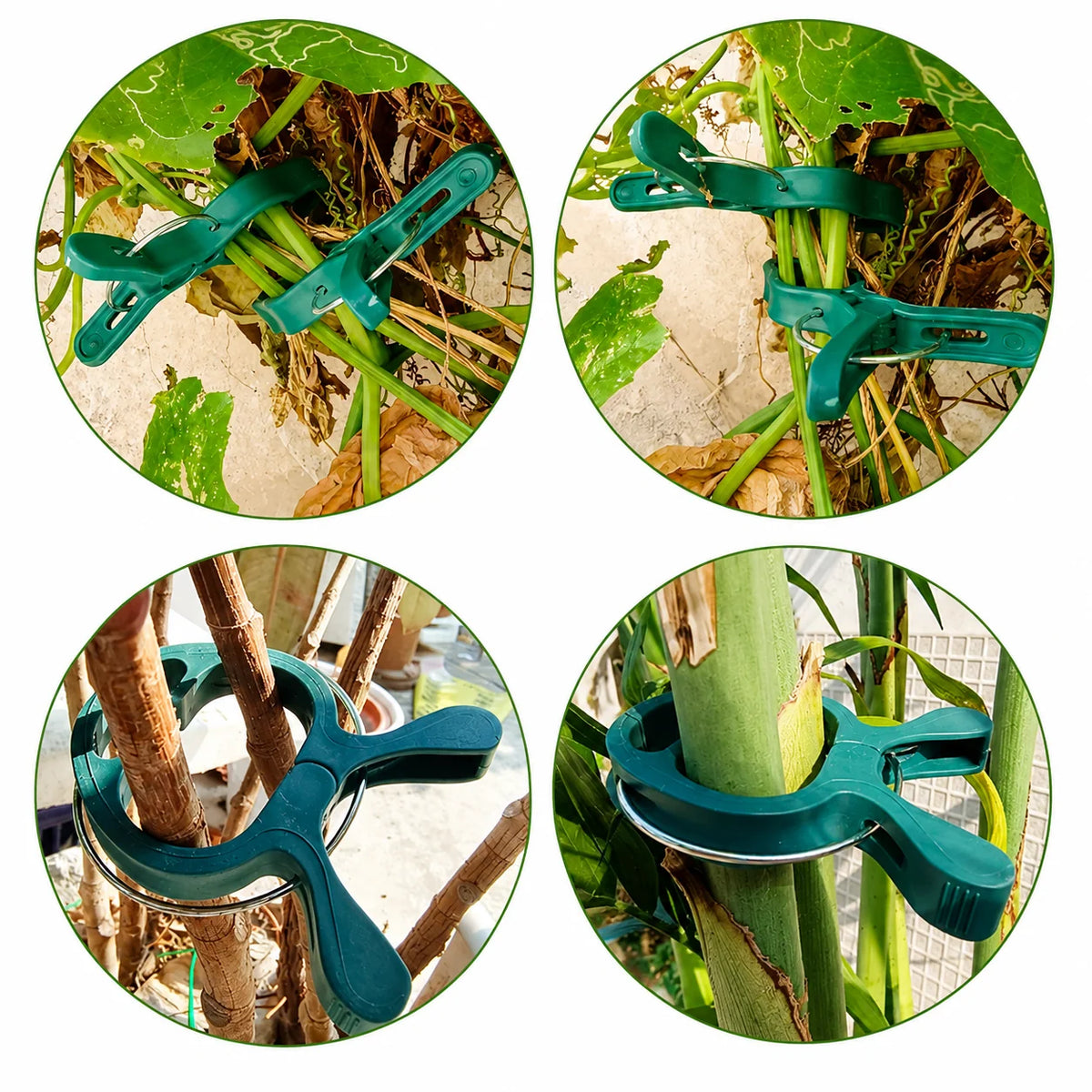 Plant Support Clips Flexible Grip Set of 20