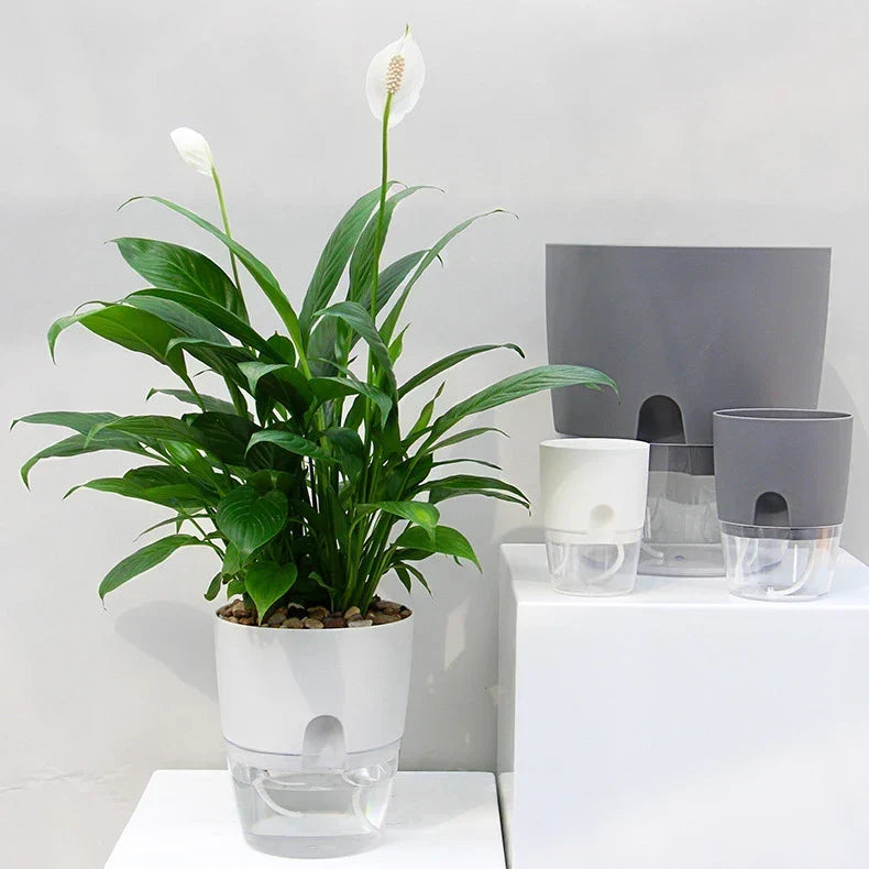 Planter Self-Watering With Built-In Reservoir