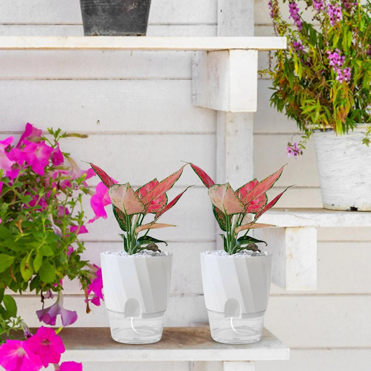 Planter Self-Watering With Built-In Reservoir