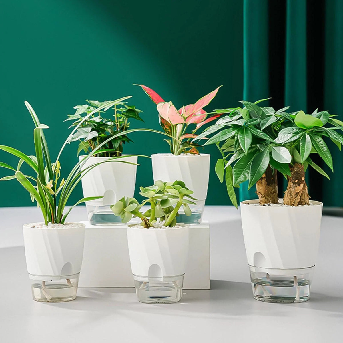 Planter Self-Watering With Built-In Reservoir