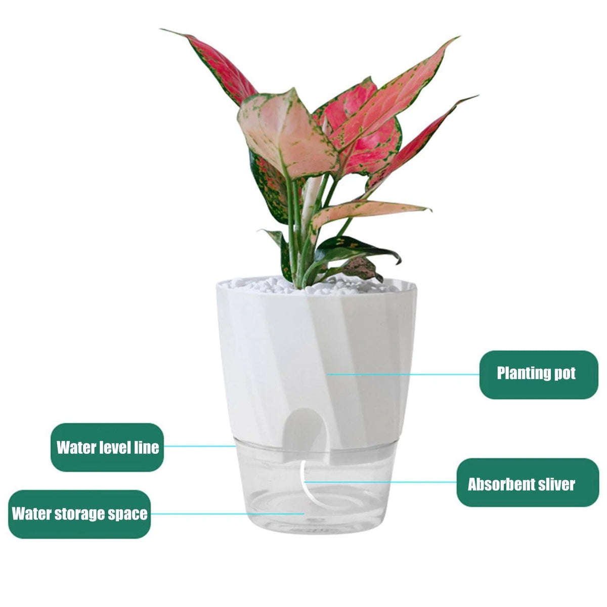 Planter Self-Watering With Built-In Reservoir