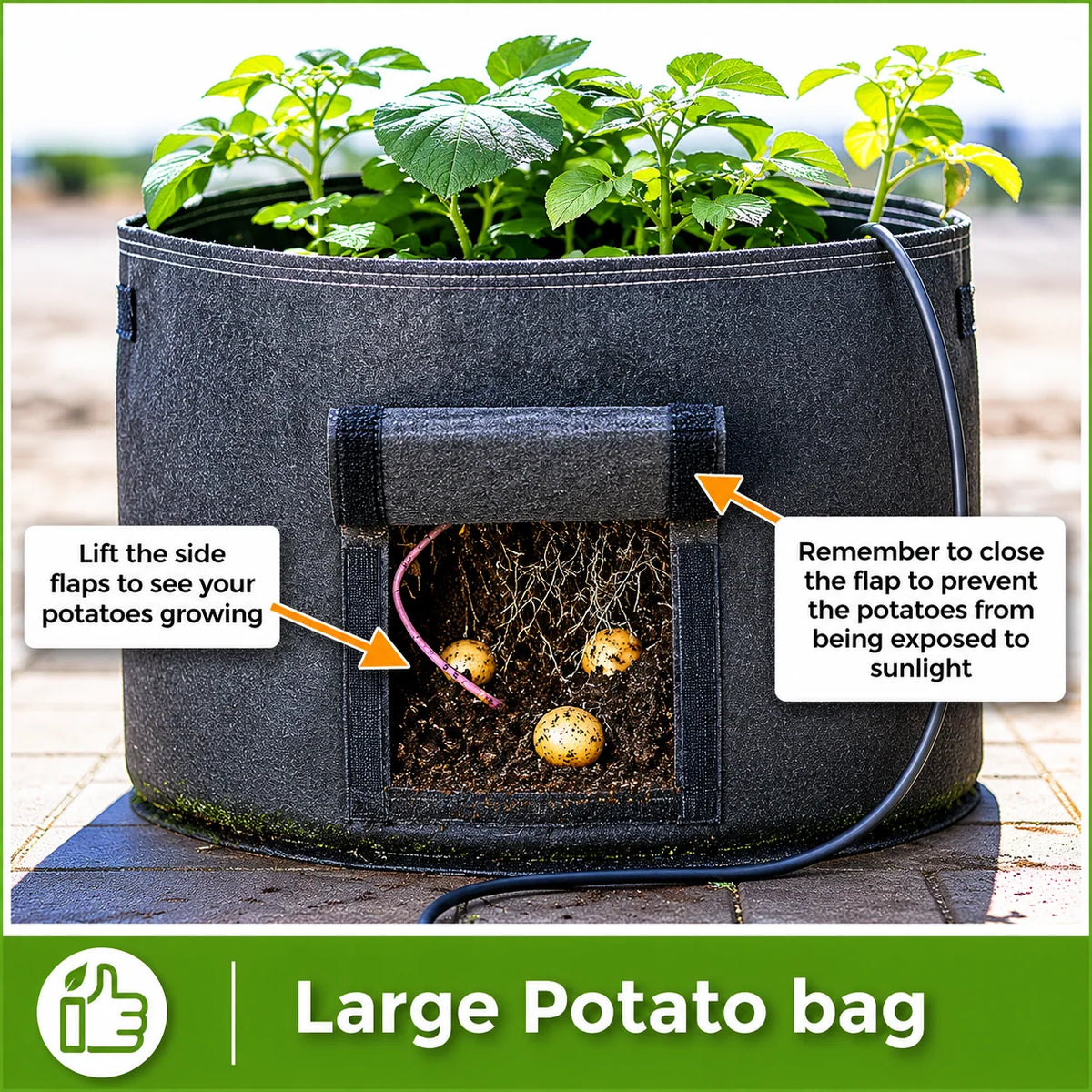 Potato Grow Bag Heavy-Duty Geofelt Side Access Flaps