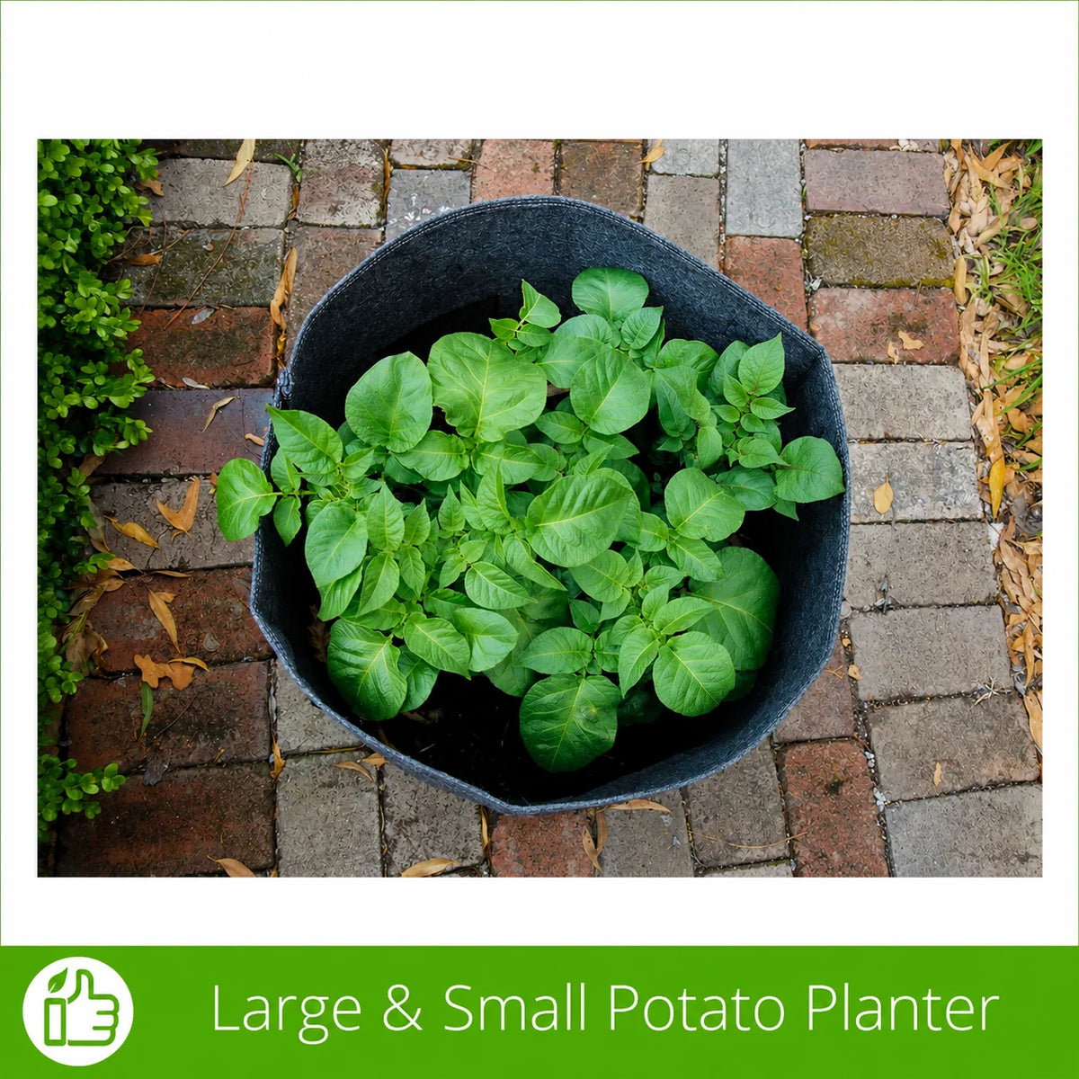 Potato Grow Bag Heavy-Duty Geofelt Side Access Flaps