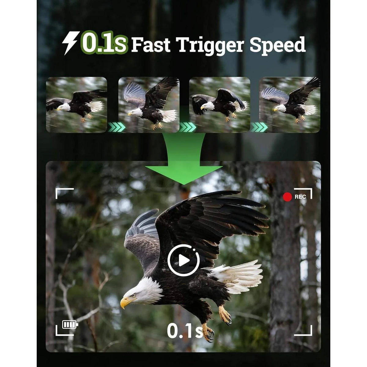 Trail Camera Solar-Powered 4K Video Night Vision