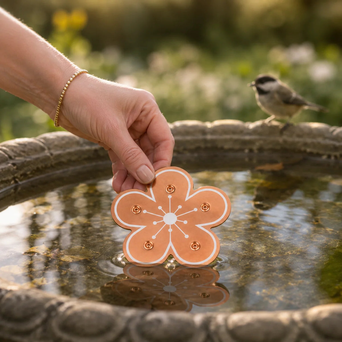 Bird Bath Algae Control Disc Copper Alloy Floating