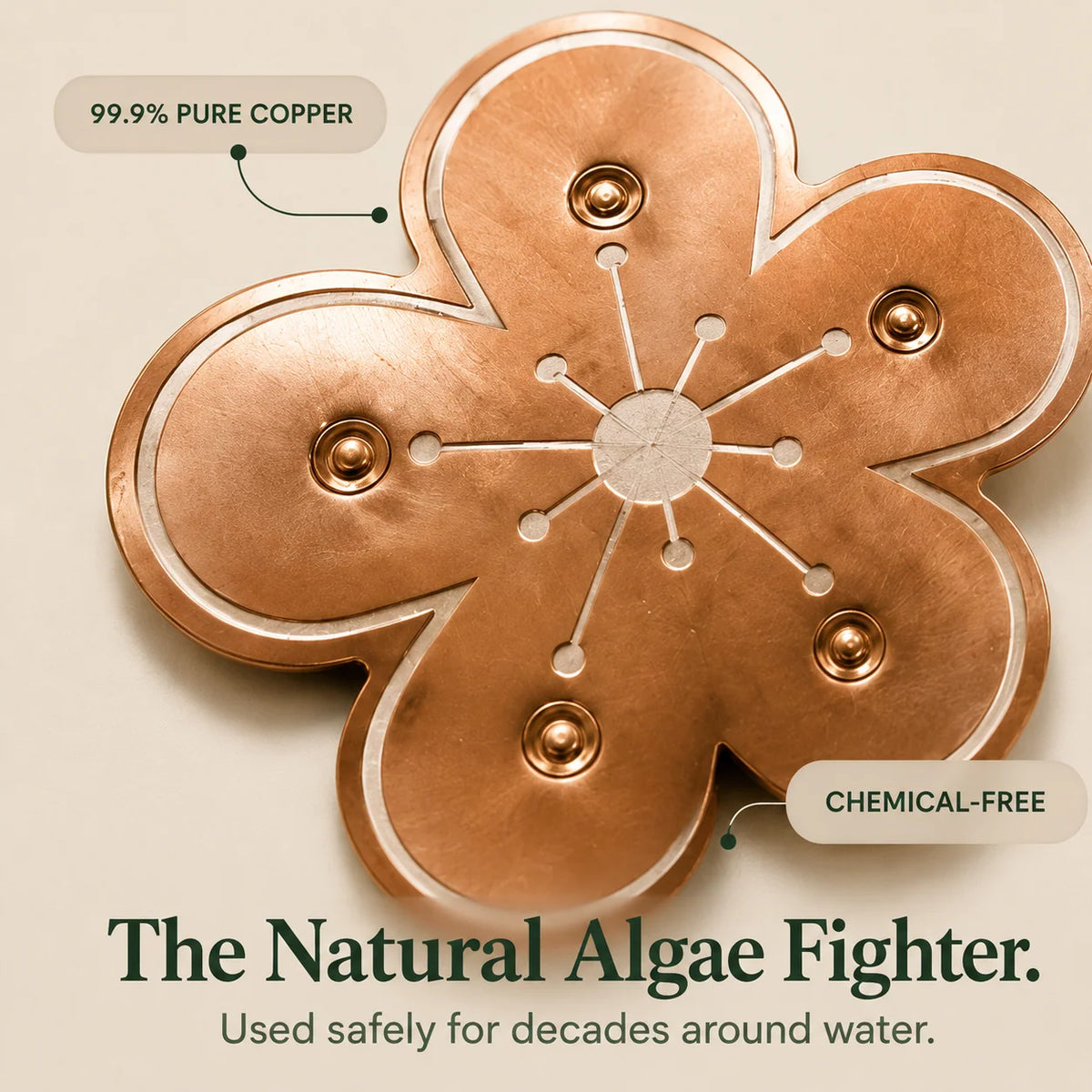 Bird Bath Algae Control Disc Copper Alloy Floating