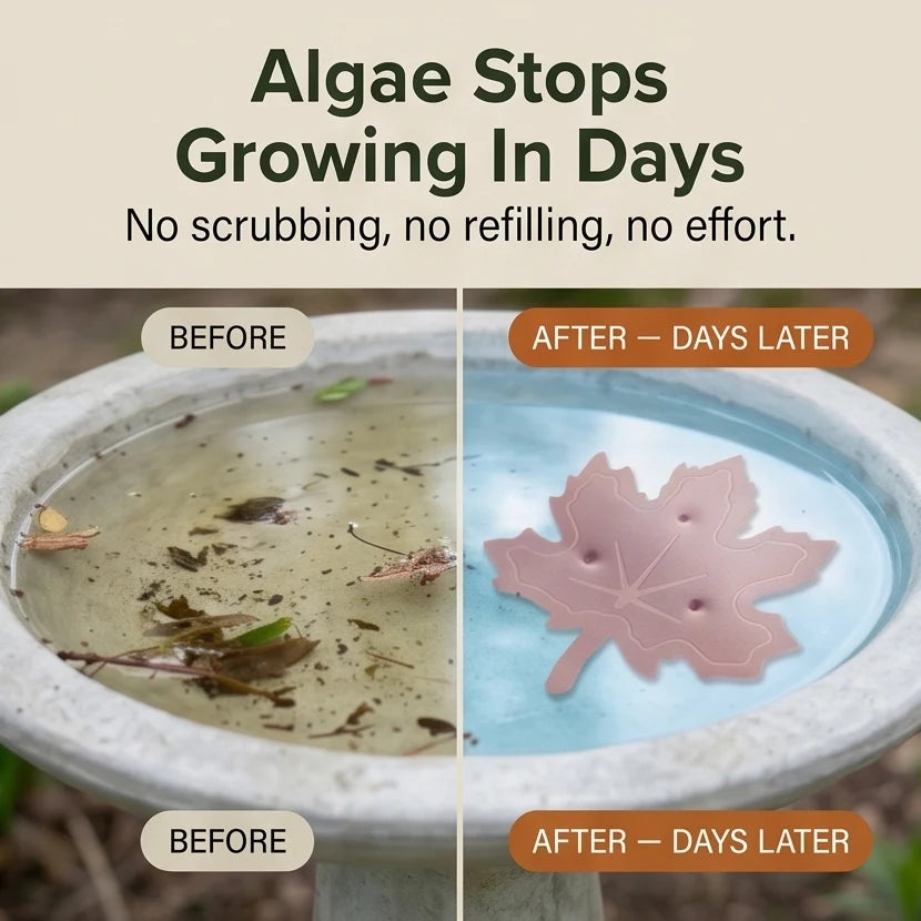 Bird Bath Purifier 99.9% Pure Copper Algae Control
