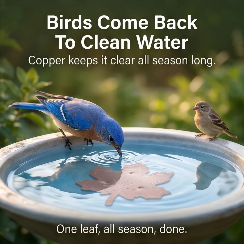 Bird Bath Purifier 99.9% Pure Copper Algae Control