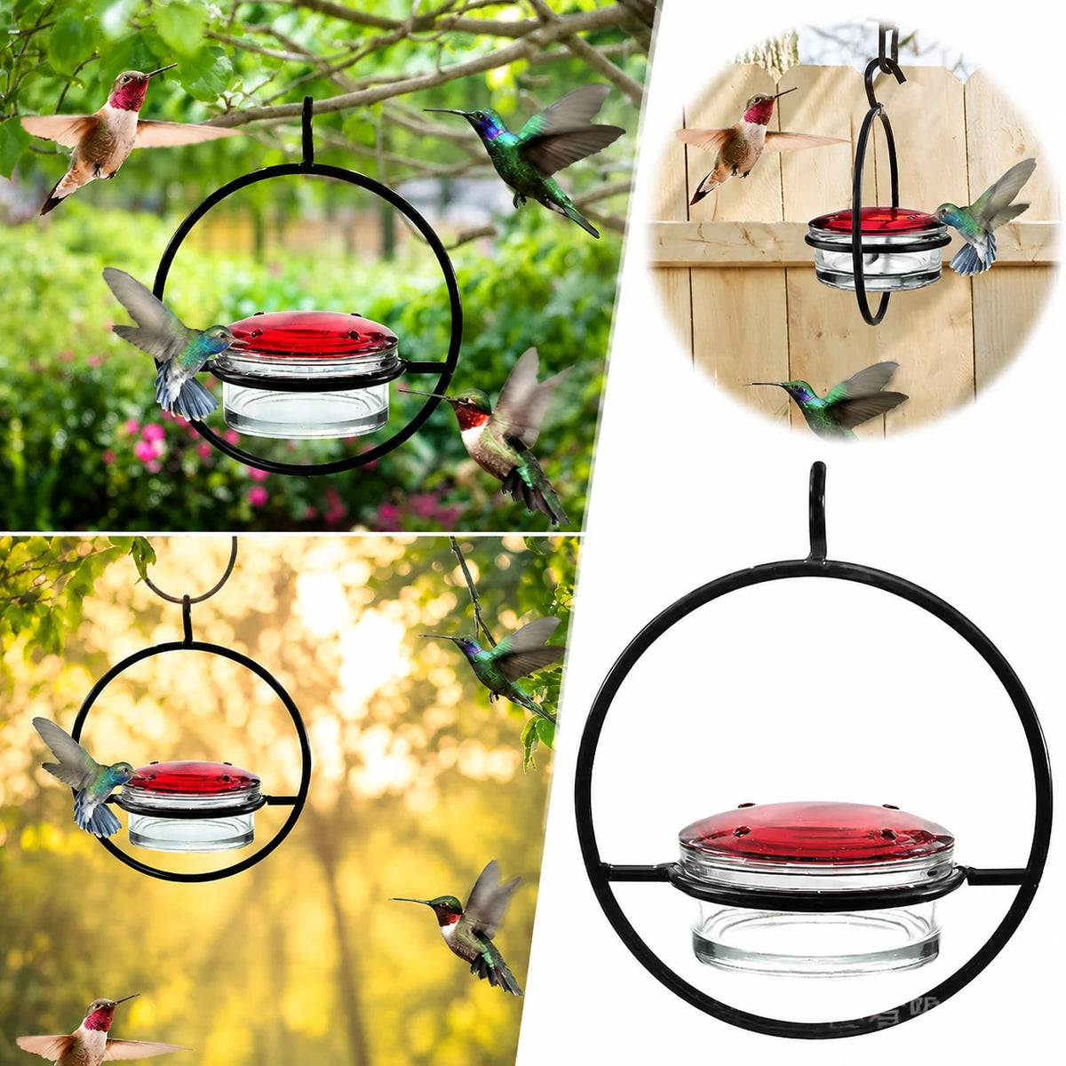 Bird Feeder Clear Bowl Outer Perch Ring Hanging Design