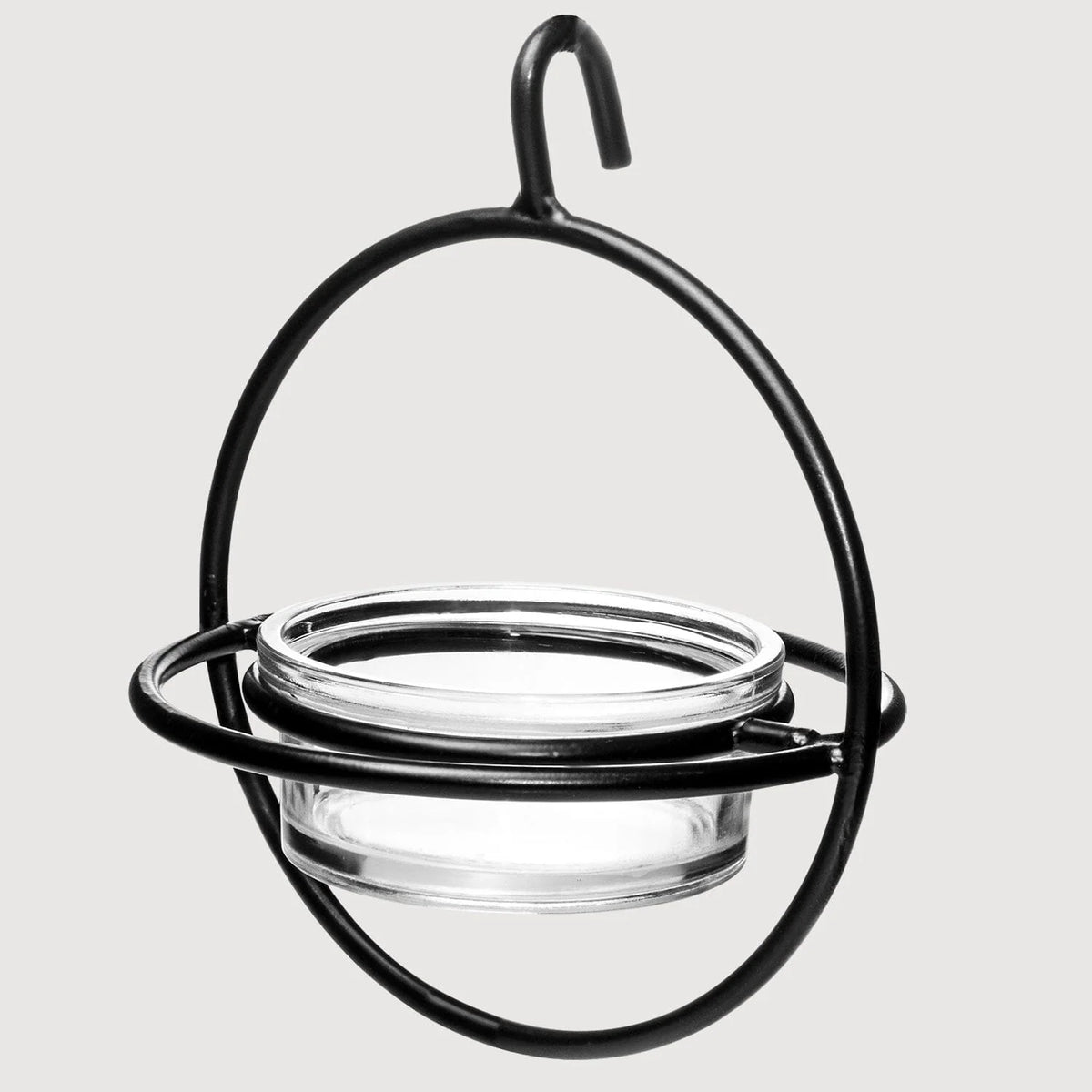 Bird Feeder Clear Bowl Outer Perch Ring Hanging Design