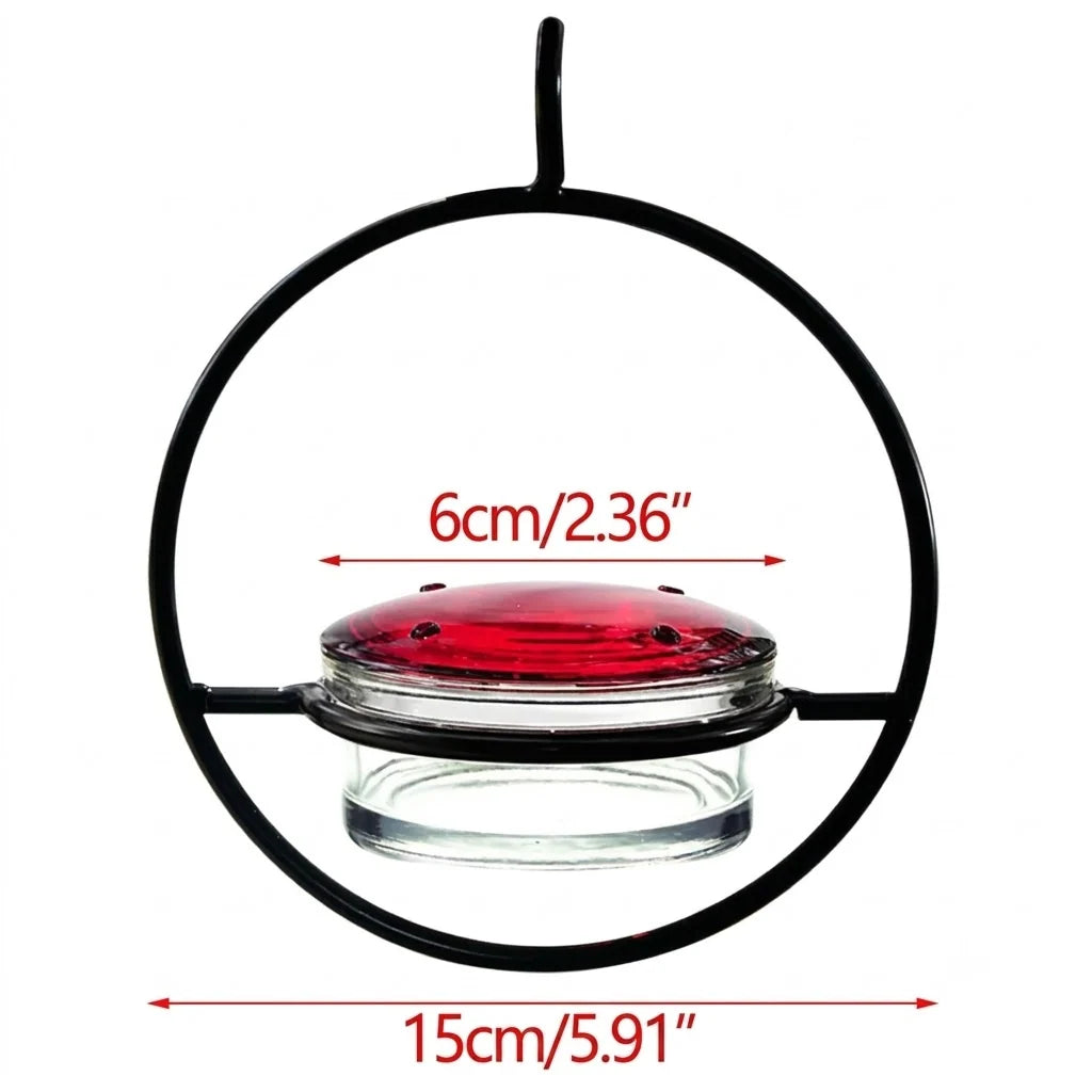 Bird Feeder Clear Bowl Outer Perch Ring Hanging Design