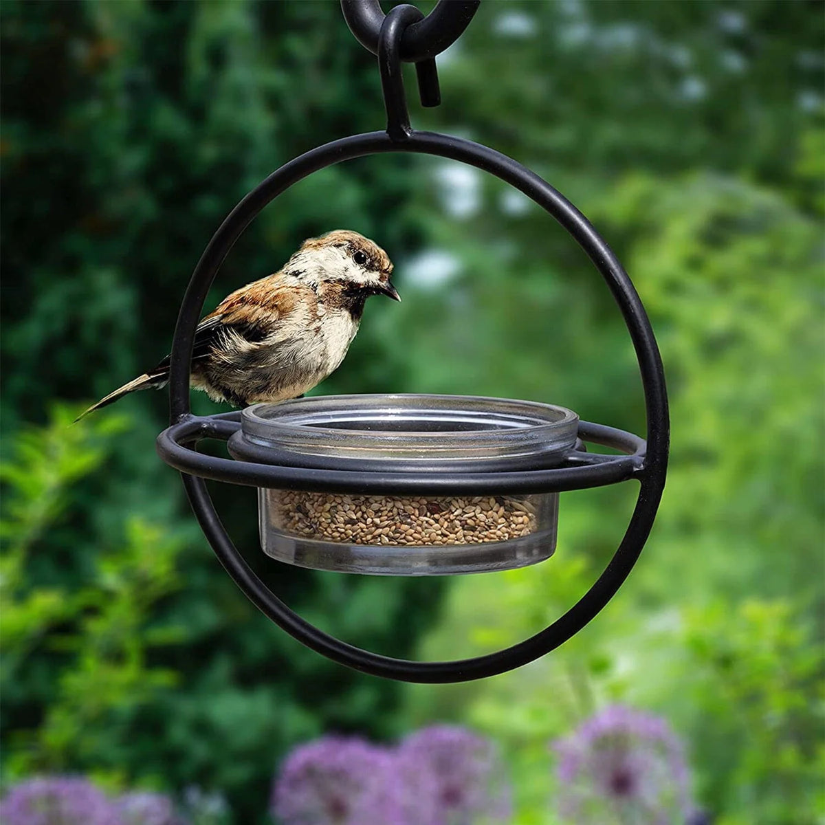 Bird Feeder Clear Bowl Outer Perch Ring Hanging Design