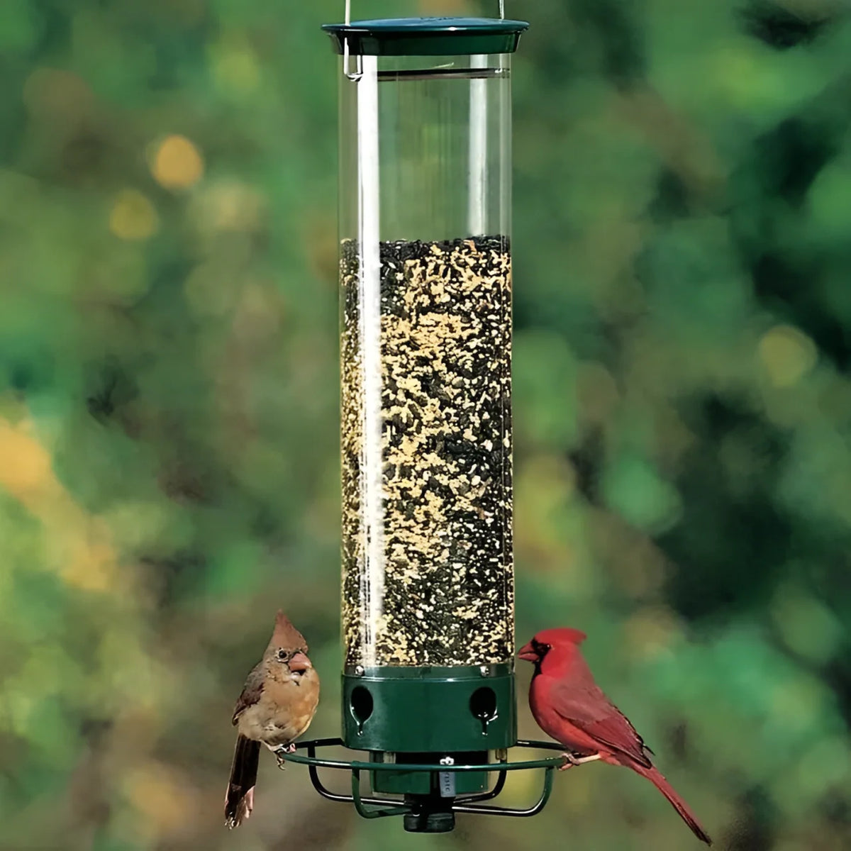 Bird Feeder Weight-Activated Squirrel Deterrent 5 lb Capacity
