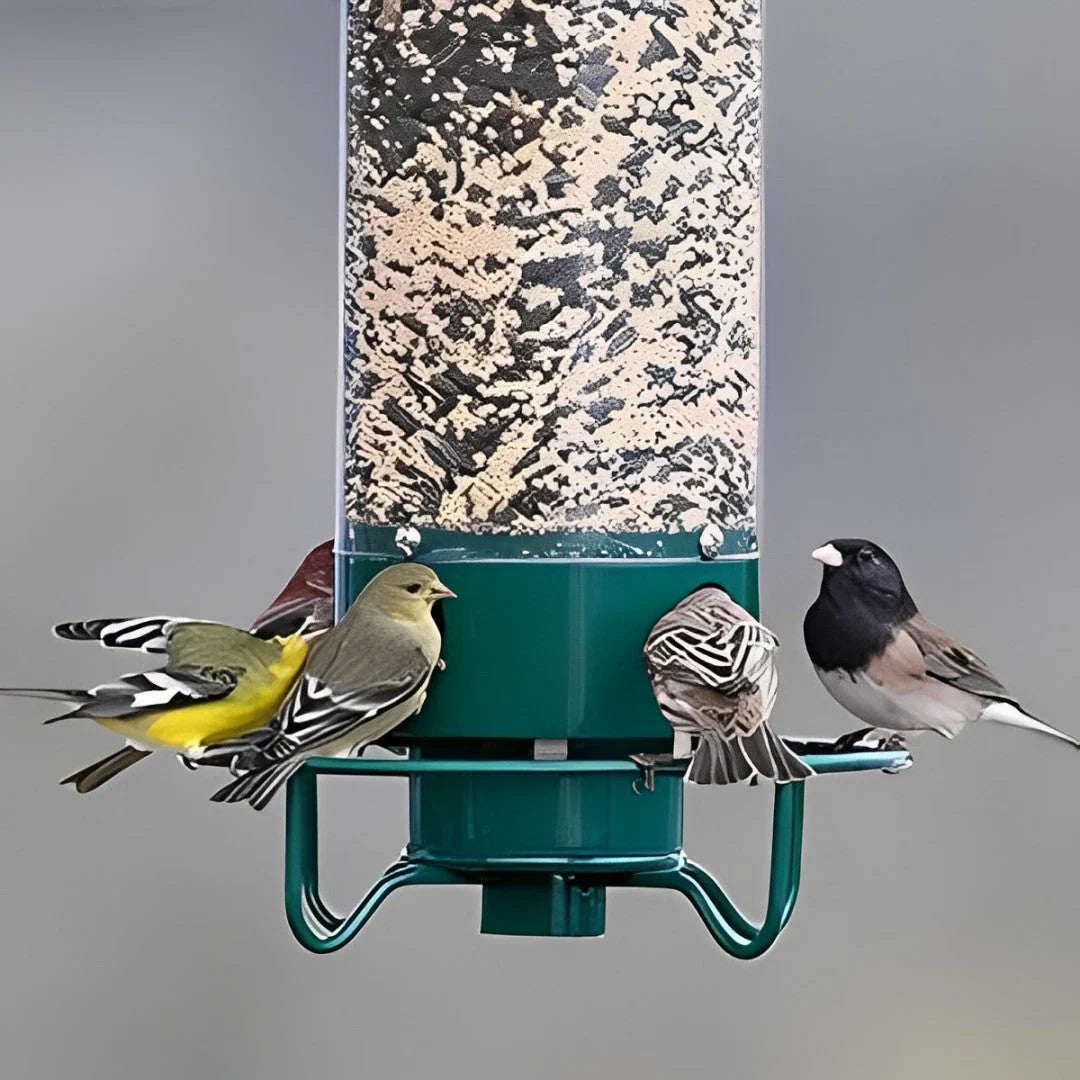 Bird Feeder Weight-Activated Squirrel Deterrent 5 lb Capacity