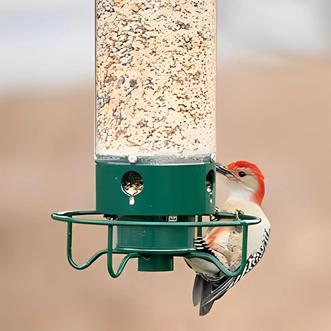 Bird Feeder Weight-Activated Squirrel Deterrent 5 lb Capacity