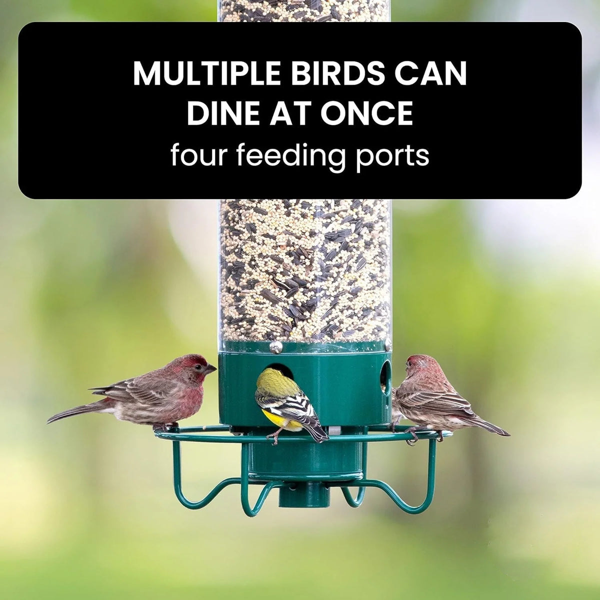 Bird Feeder Weight-Activated Squirrel Deterrent 5 lb Capacity