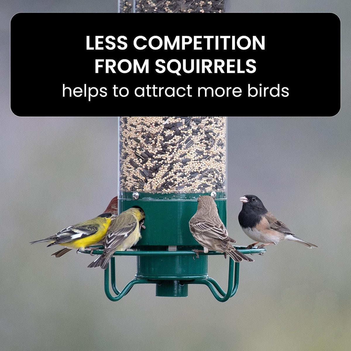 Bird Feeder Weight-Activated Squirrel Deterrent 5 lb Capacity