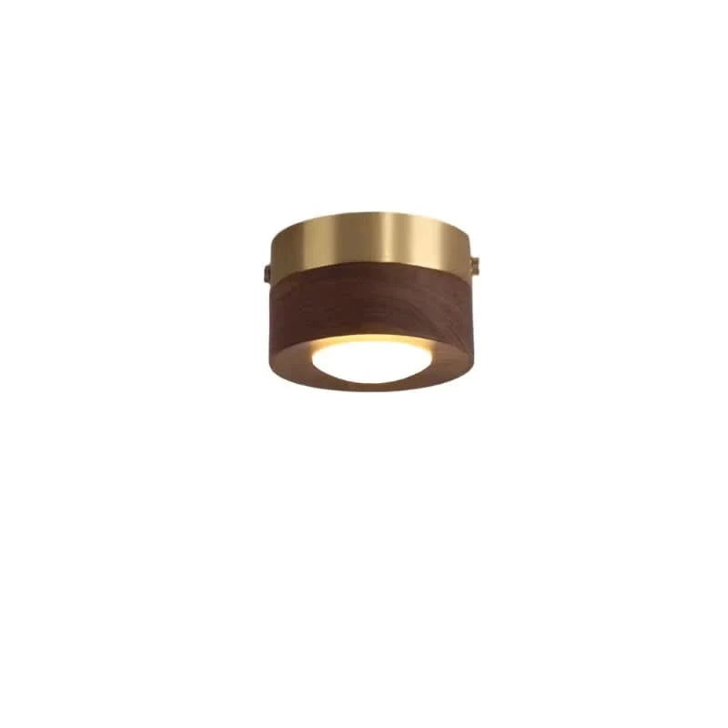 Ceiling Light Natural Wood Integrated LED Three-Color Lighting