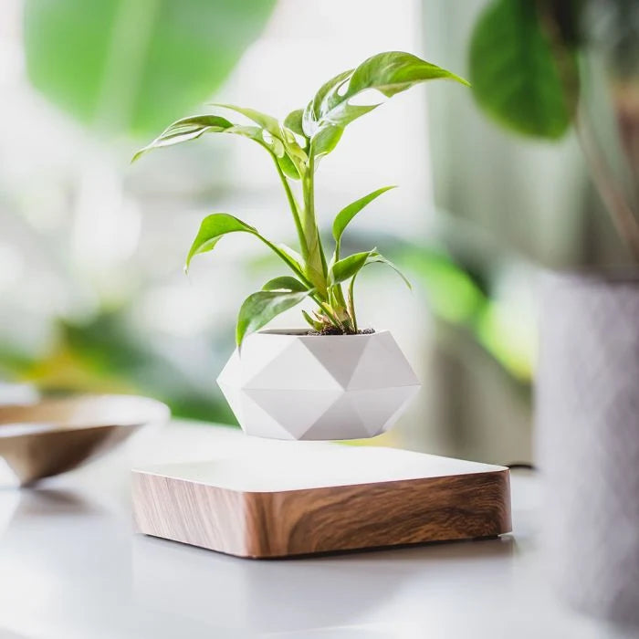 Floating Planter Magnetic Levitation Silent 360° Rotation