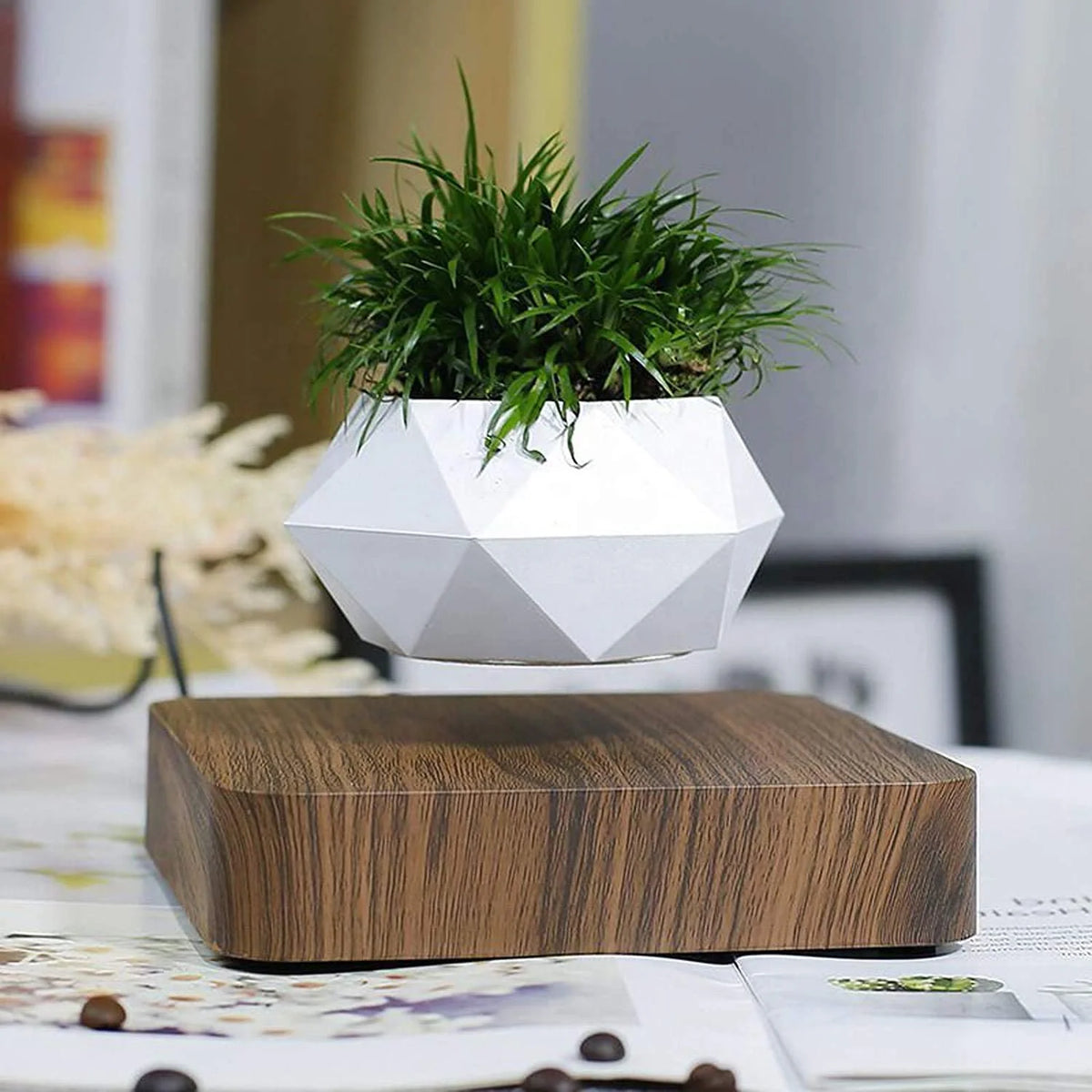 Floating Planter Magnetic Levitation Silent 360° Rotation