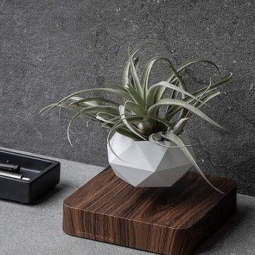 Floating Planter Magnetic Levitation Silent 360° Rotation