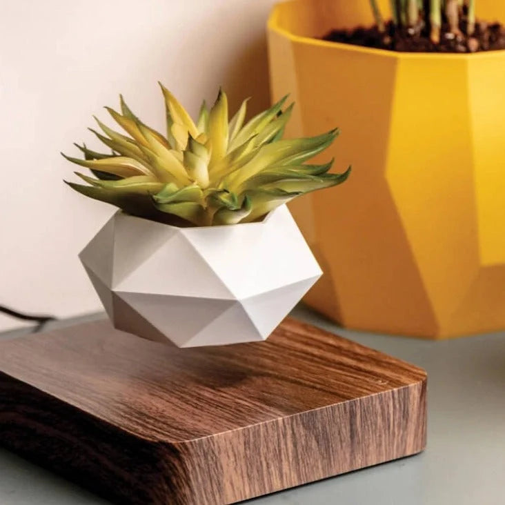 Floating Planter Magnetic Levitation Silent 360° Rotation
