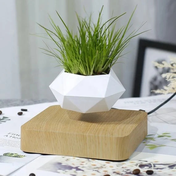 Floating Planter Magnetic Levitation Silent 360° Rotation