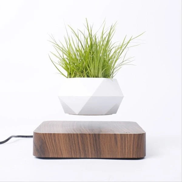 Floating Planter Magnetic Levitation Silent 360° Rotation