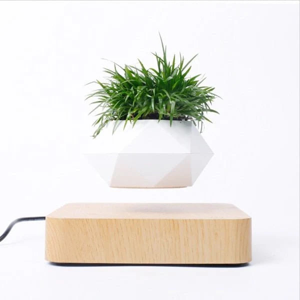 Floating Planter Magnetic Levitation Silent 360° Rotation