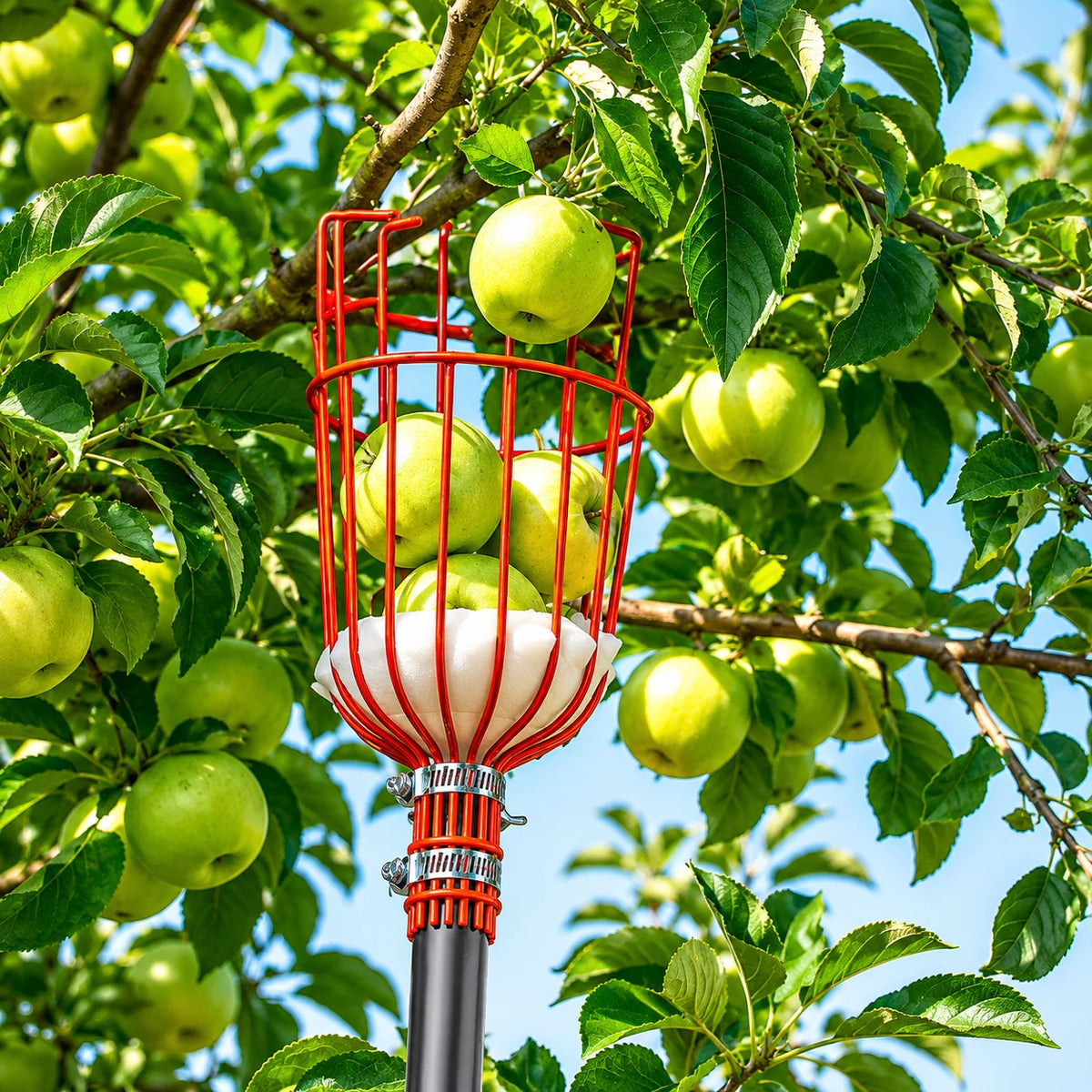 Fruit Picker Telescoping Steel Handle Cushioned Landing Pad