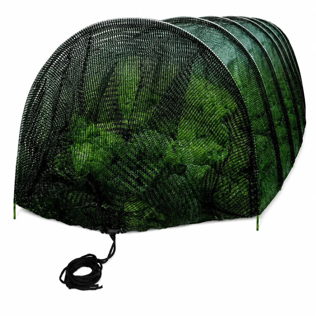 Garden Protection Tunnel Fine Mesh Collapsible Frame