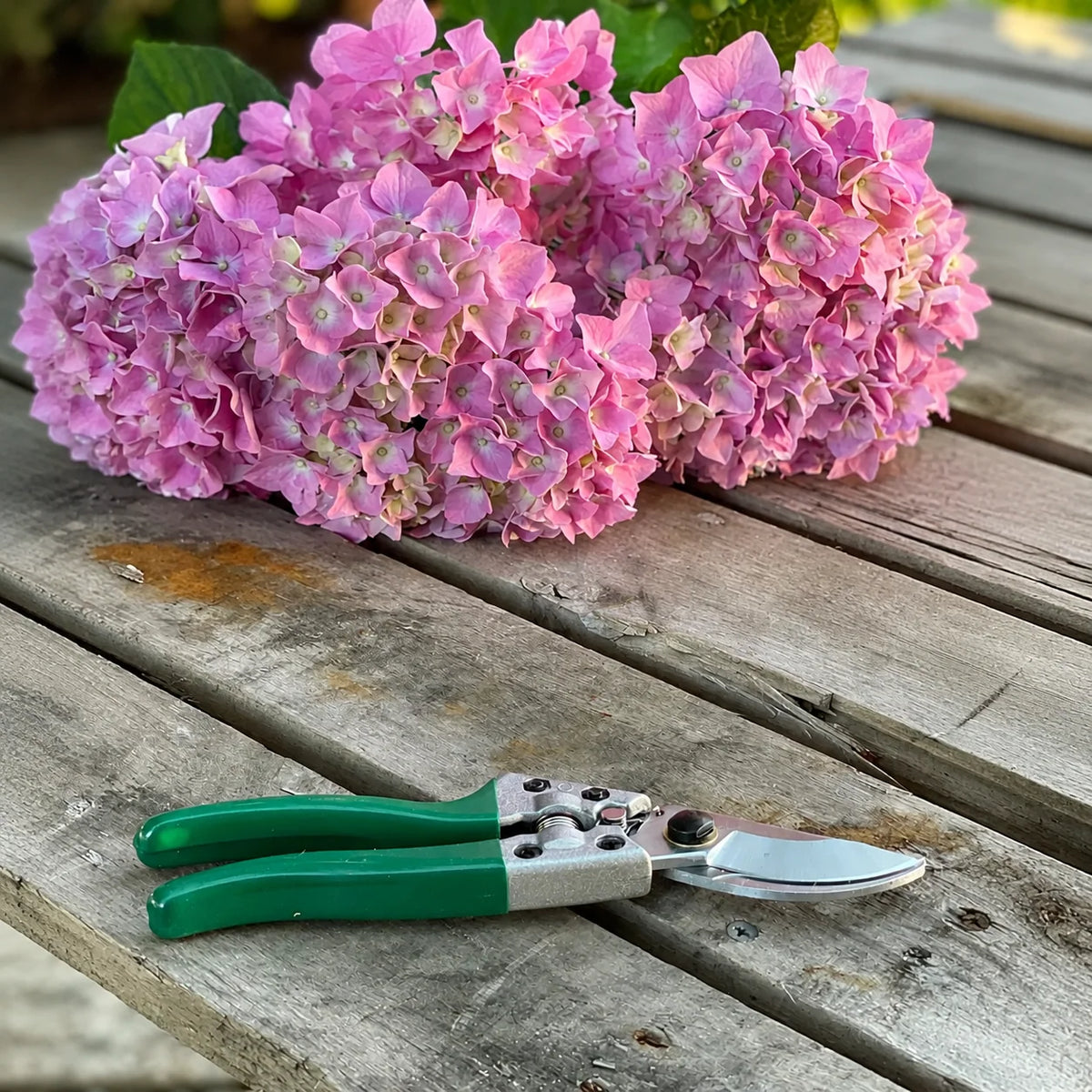 Garden Pruning Shears Carbon Steel Corrosion-Resistant Blade