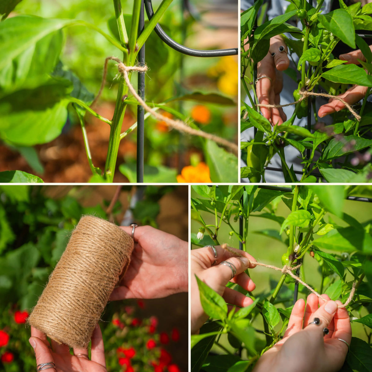 Garden Twine Jute Biodegradable Set of 2