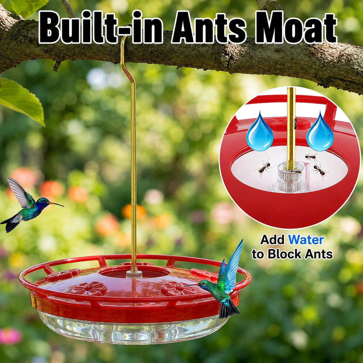 Hummingbird Feeder Built-In Ant Moat 5 Feeding Ports
