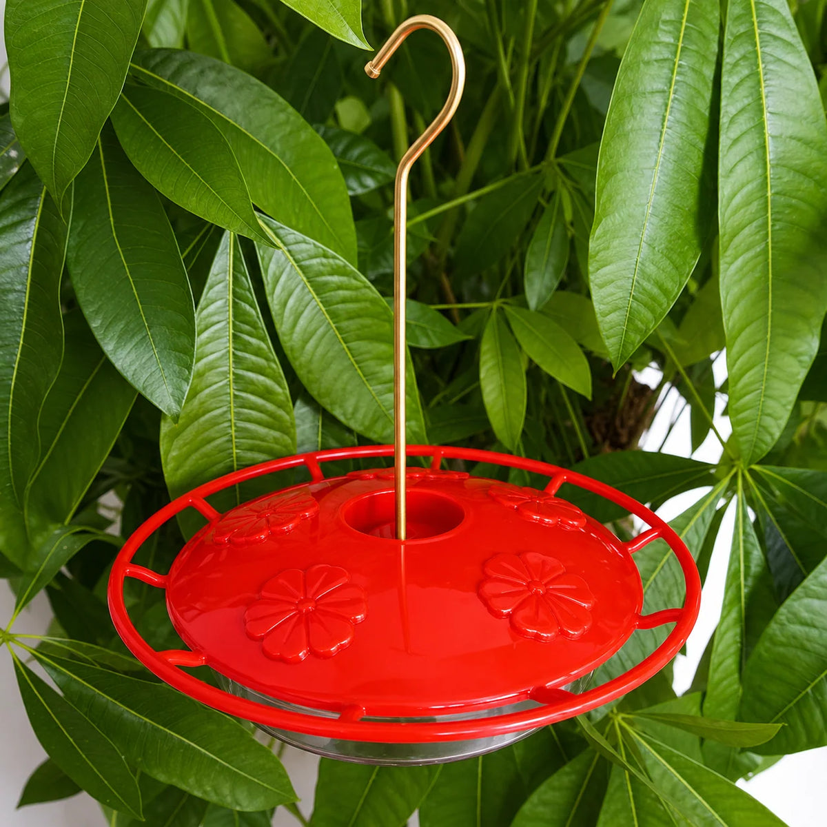 Hummingbird Feeder Built-In Ant Moat 5 Feeding Ports