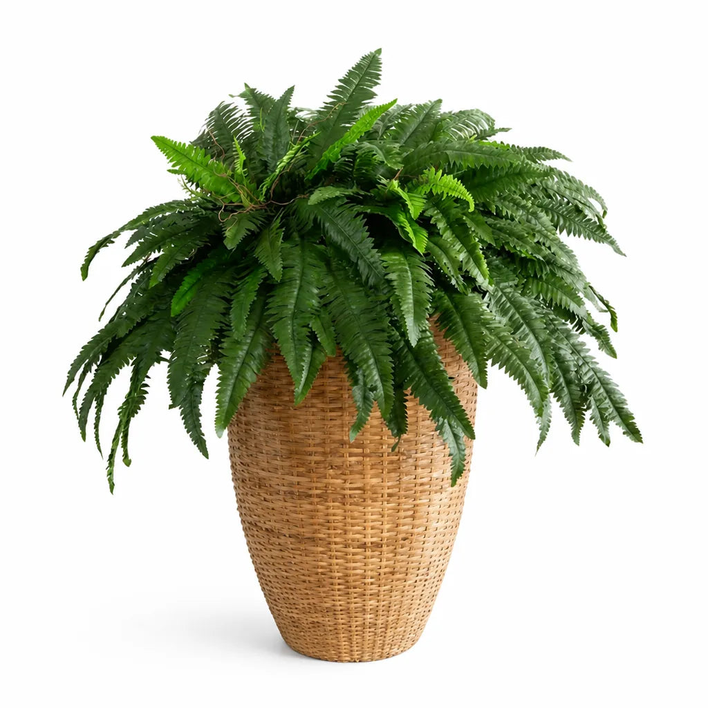 Natural-Looking Indoor/Outdoor Artificial Fern