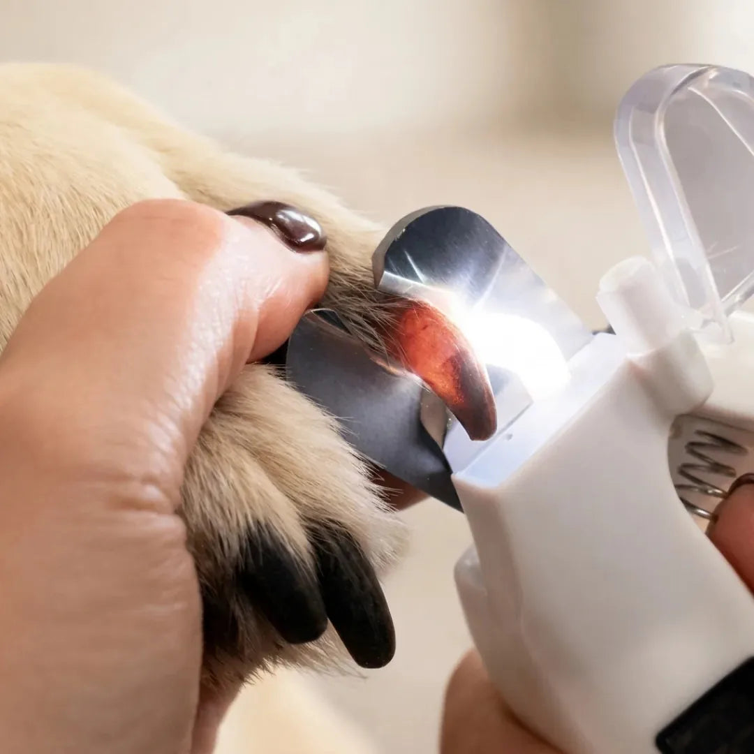 Pet Nail Clipper & Grinder LED Rechargeable 2-In-1