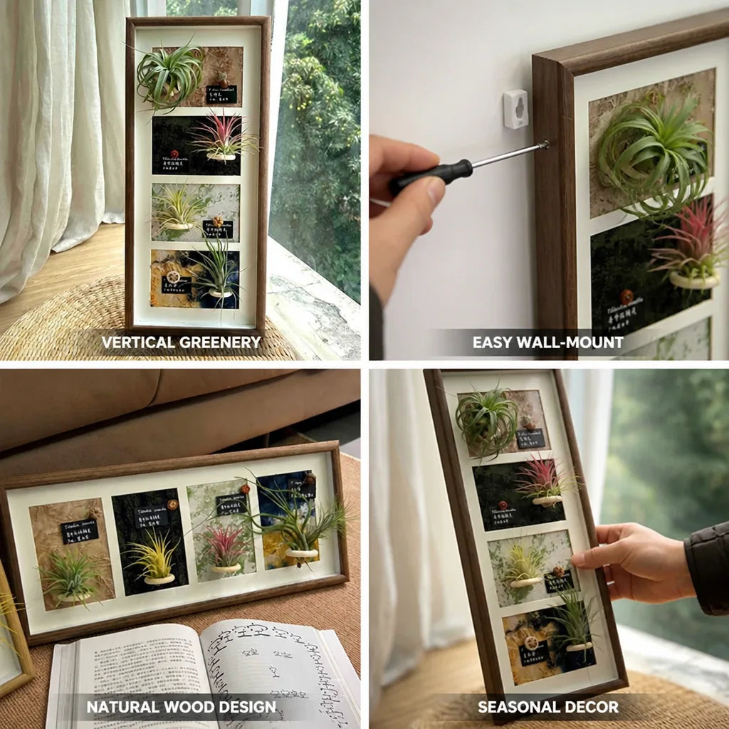 Plant Display Frame Wooden Wall-Mounted for Air Plants