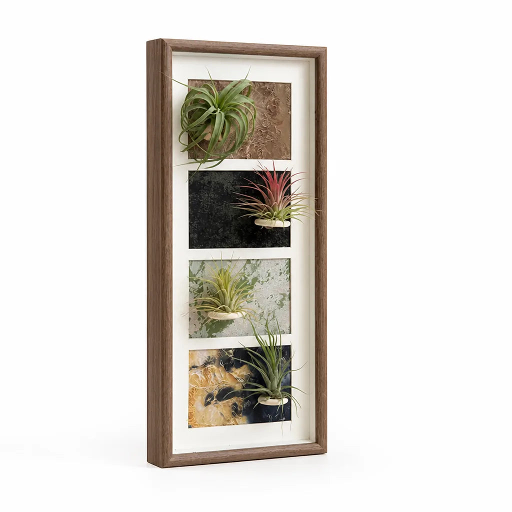Plant Display Frame Wooden Wall-Mounted for Air Plants