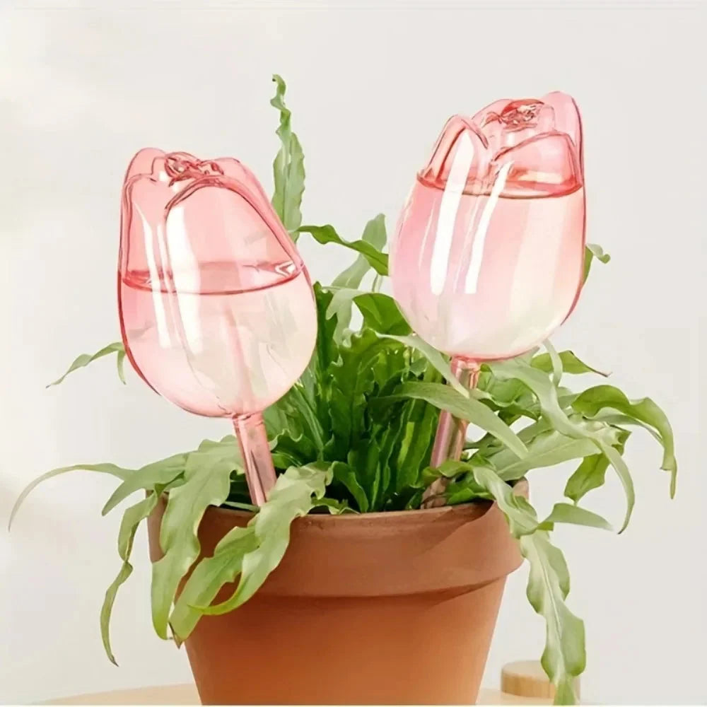 Plant Watering Globes Glass Slow-Drip Tulip-Shaped