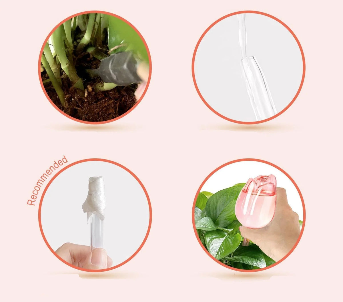 Plant Watering Globes Glass Slow-Drip Tulip-Shaped