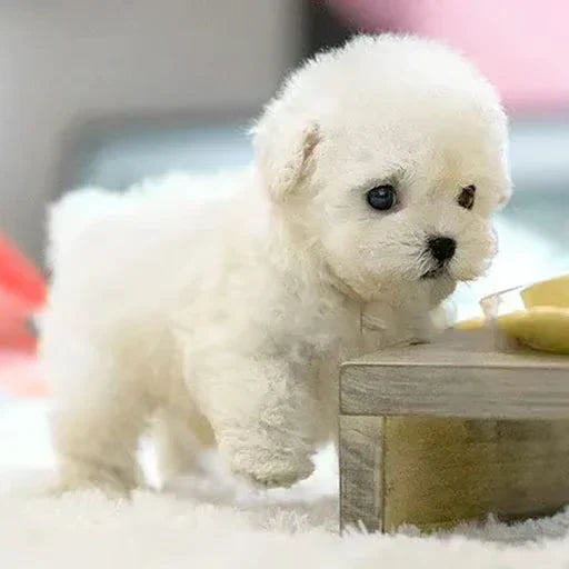 Robotic Puppy Toy Walking Barking Interactive Companion